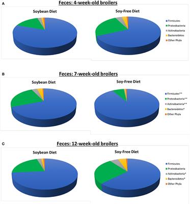 The Effects of Feeding a Soybean-Based or a Soy-Free Diet on the Gut Microbiome of Pasture-Raised Chickens Throughout Their Lifecycle